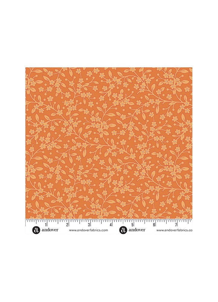 Flower Box - Tangerine Jasmine