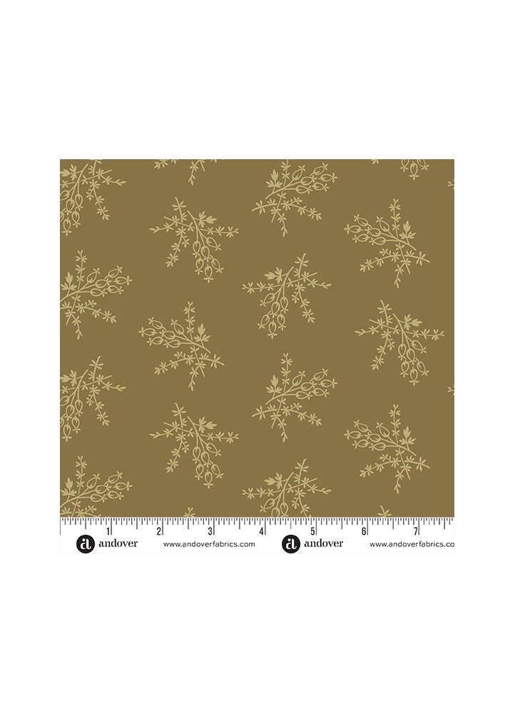 Joy - Evergreen Juniper berry