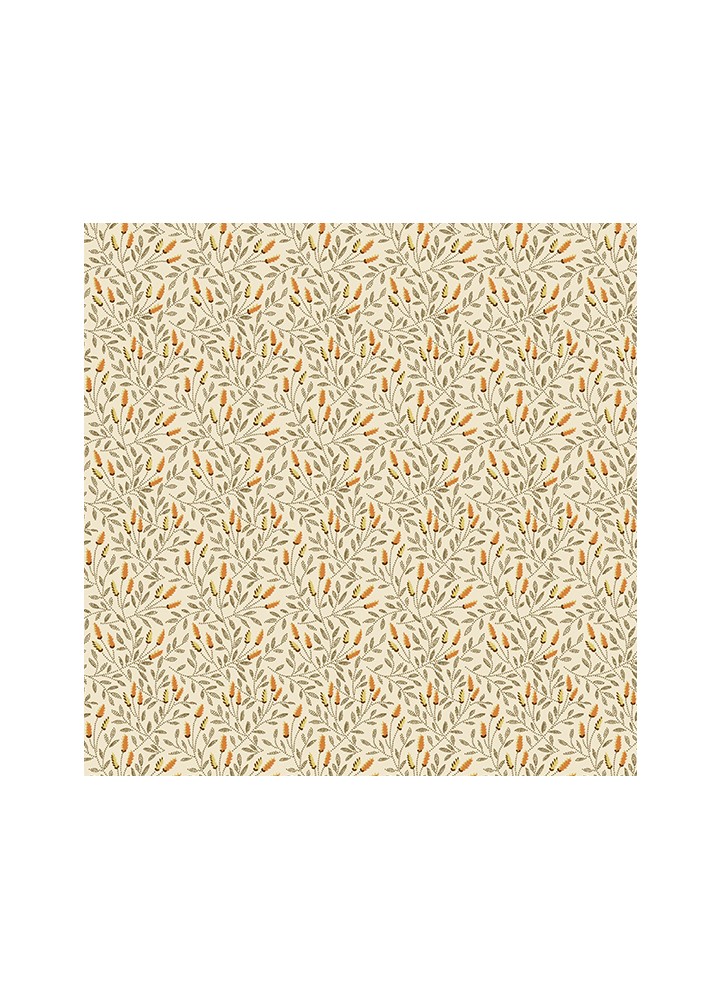 Reed desert sand