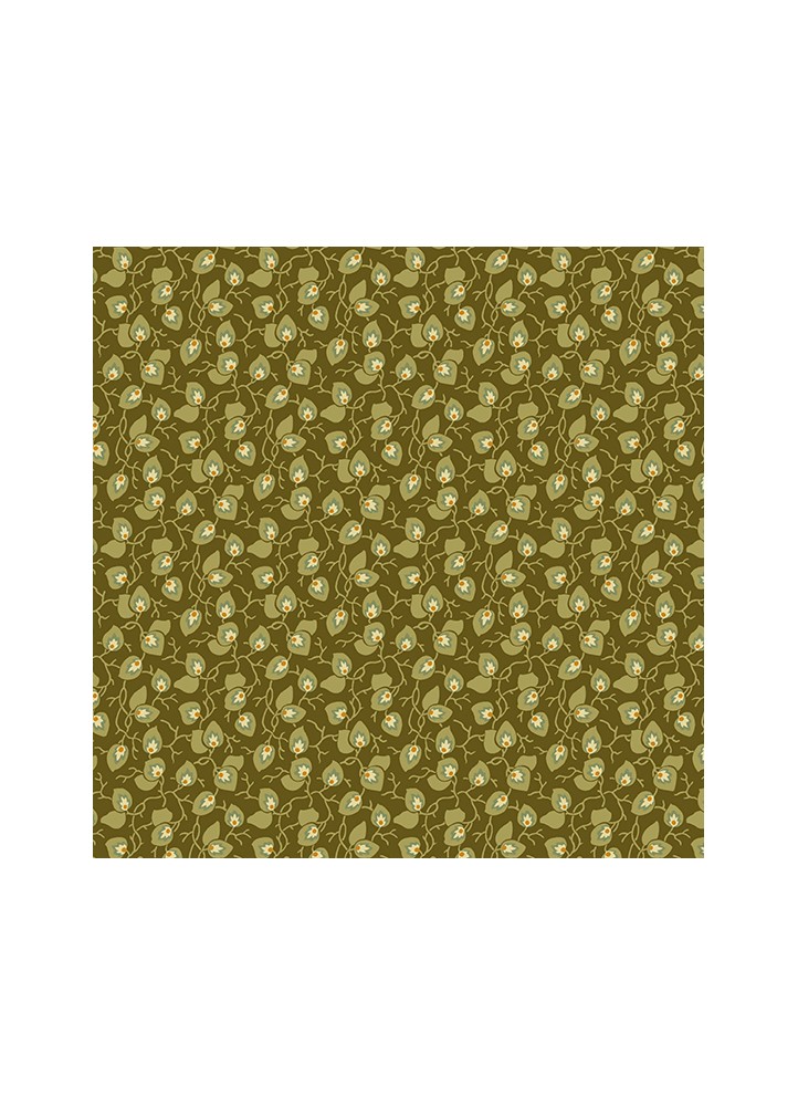 Vine olive