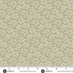 10060G-Forest glen-Aspérule...