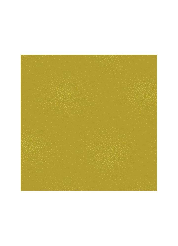 10046V1-SPRITZ OLIVE OIL
