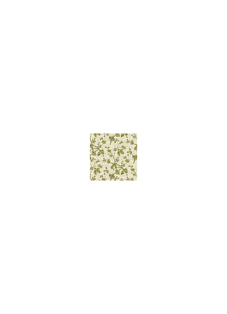 Wild Rose Cassia