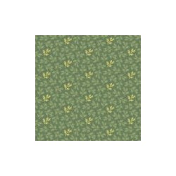 Greenery Sequoia