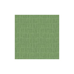 Mist Blue Spruce