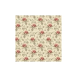 Thistle Olive