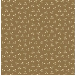 Tan Star Flower
