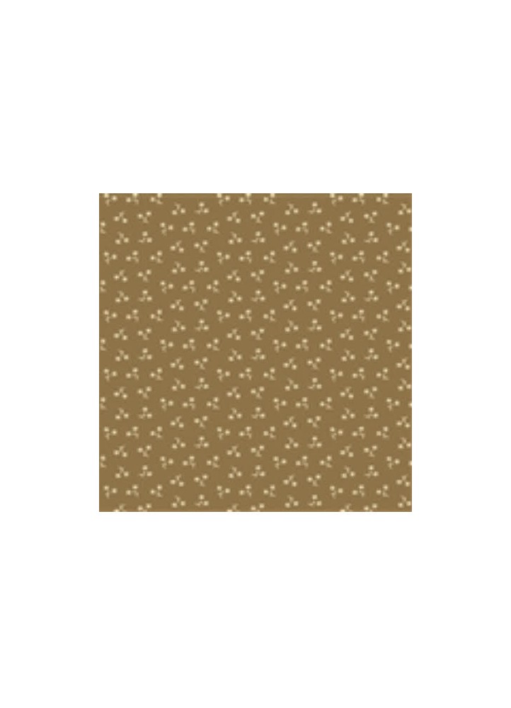 Tan Star Flower