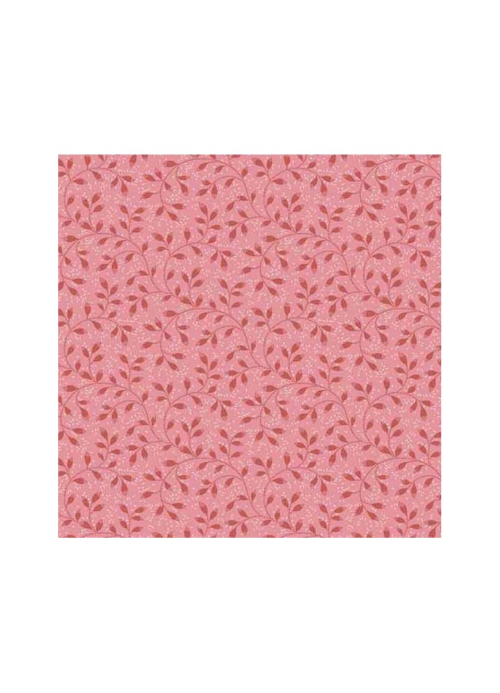 Gingerlily strawberry pink breezy